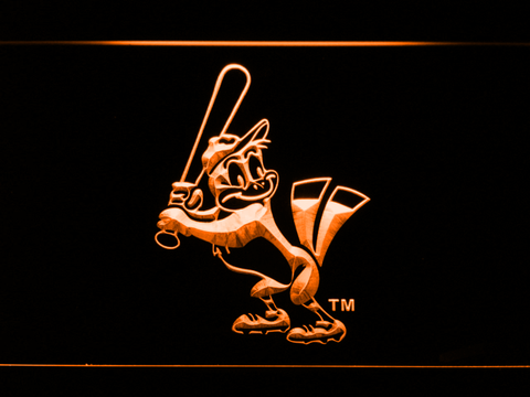 Baltimore Orioles 2002-2003 LED Neon Sign